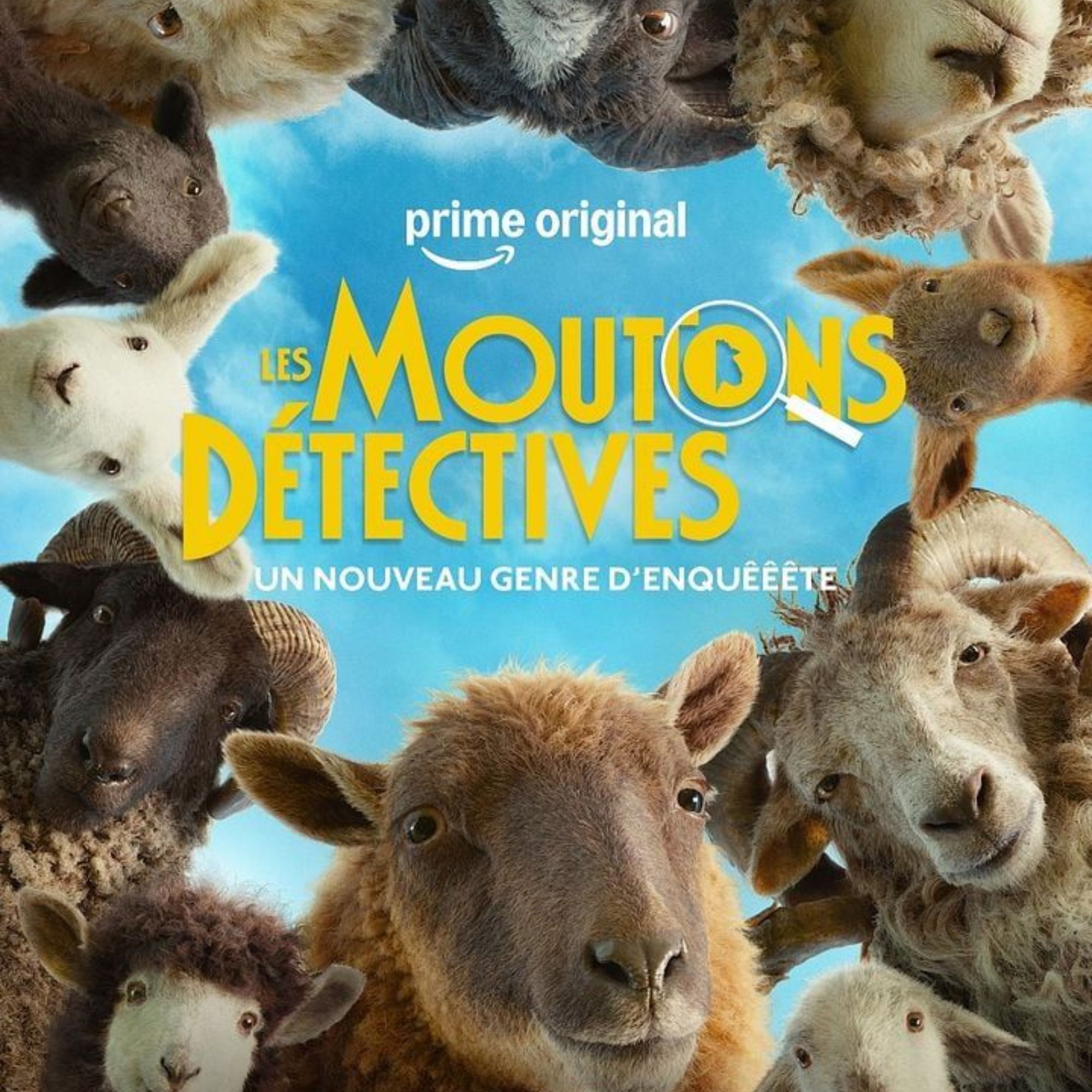 Film N°70 Les moutons détectives