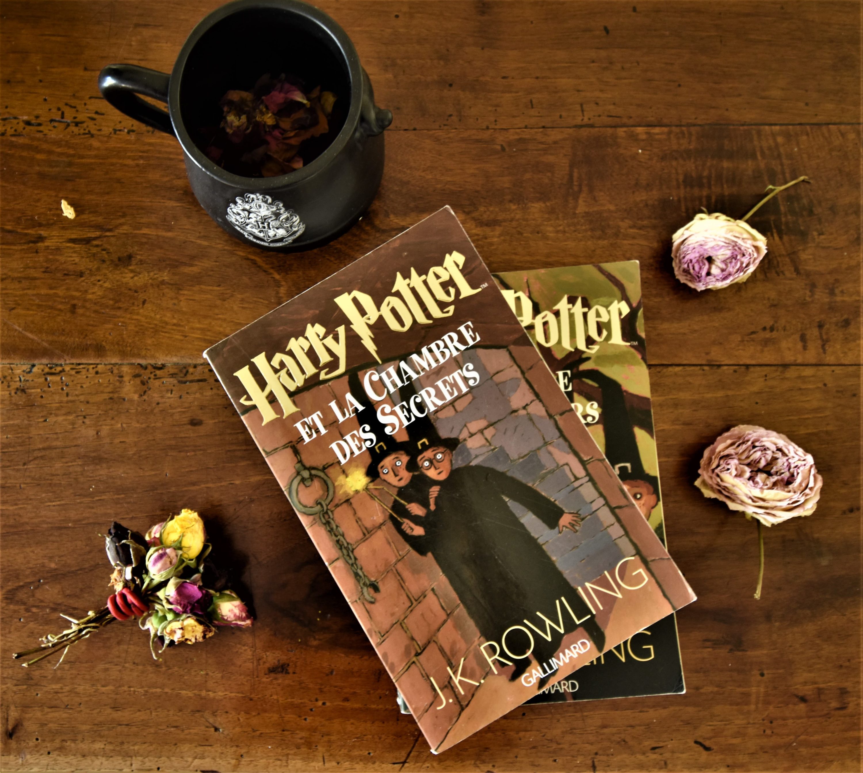 Harry Potter et la chambre des secrets de J. K. Rowling